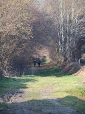 Le Chemin de La Gravade à Lourdoueix-St-Pierre